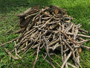 Yeşil çimlerin üzerinde odun yığını