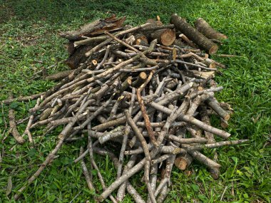 Yeşil çimlerin üzerinde odun yığını