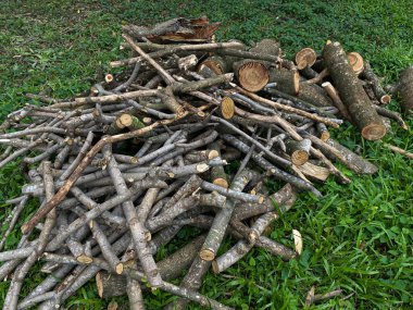 Yeşil çimlerin üzerinde odun yığını