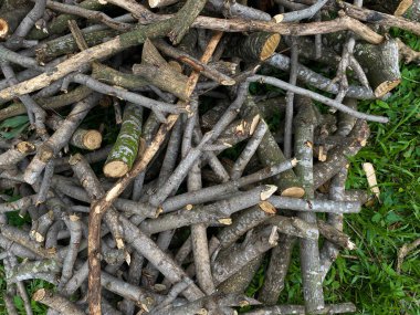 Yığınla ağaç kesiği ya da yeşil çimlerin üzerindeki dallar