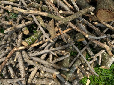 Yığınla ağaç kesiği ya da yeşil çimlerin üzerindeki dallar