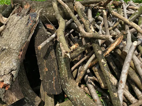 Odun yığını, ağaç dalı ya da dal.