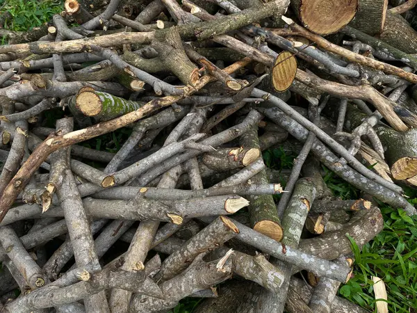 Odun yığını, ağaç dalı ya da dal.