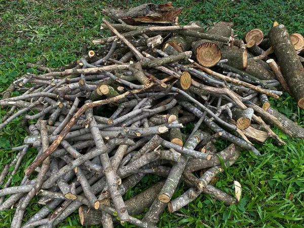 Yığınla ağaç kesiği ya da yeşil çimlerin üzerindeki dallar