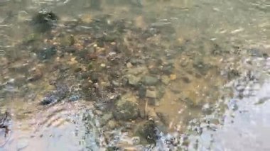 Suyun yüzeyinde, nehir taşlarının arka planında hafif yatıştırıcı dalgalar var. 