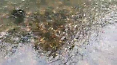 Hendekte hızlı kahverengi çamurlu su akıyor