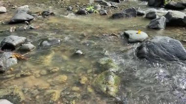 Ciujung Nehri, Batı Java, Endonezya 'daki kayalar arasında durgun su akışı