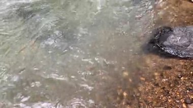 Ciujung Nehri, Batı Java, Endonezya 'daki kayalar arasında durgun su akışı