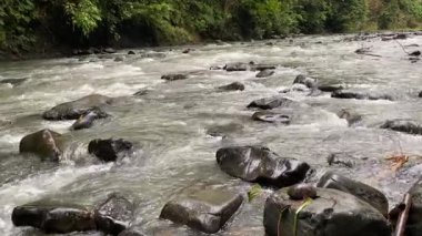 Ciujung Nehri 'nin kıyısından, Batı Java, Endonezya' dan sakin bir manzara. Yeşil su büyük kayalar arasında akar. Çevreleyen yeşil orman