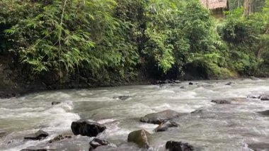 Ciujung Nehri 'nin kıyısından, Batı Java, Endonezya' dan sakin bir manzara. Yeşil su büyük kayalar arasında akar. Çevreleyen yeşil orman