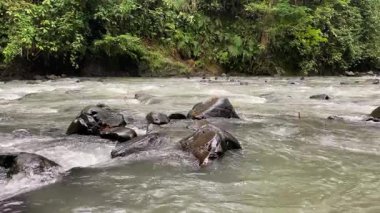 Ciujung Nehri 'nin kıyısından, Batı Java, Endonezya' dan sakin bir manzara. Yeşil su büyük kayalar arasında akar. Çevreleyen yeşil orman