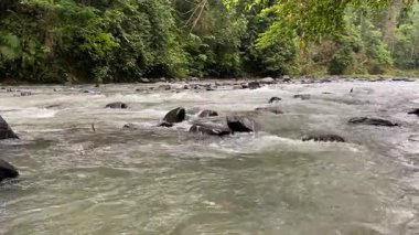Ciujung Nehri 'nin kıyısından, Batı Java, Endonezya' dan sakin bir manzara. Yeşil su büyük kayalar arasında akar. Çevreleyen yeşil orman
