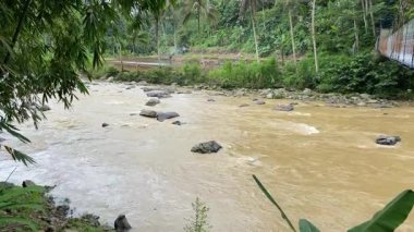 Ormanlar arasında kahverengi suyu akan geniş bir nehir.