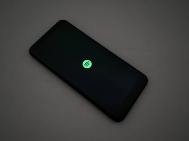 Bekasi, Endonezya - 22 Mart 2025: android akıllı telefonundaki Spotify uygulamasının sıçrama ekranı