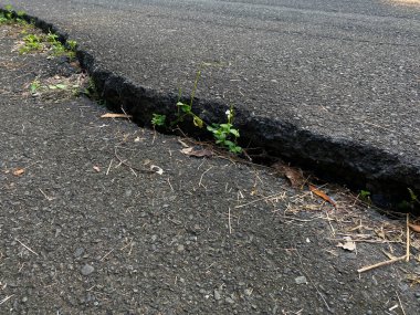 Beton caddede çatlak ve kaldırma çizgisi var.
