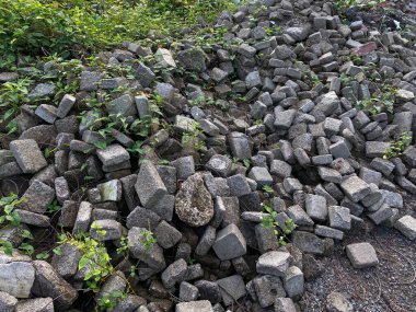 Kaldırım, zemin ya da beton blok kaldırım, küp şeklinde yeşil sarmaşık yığını.