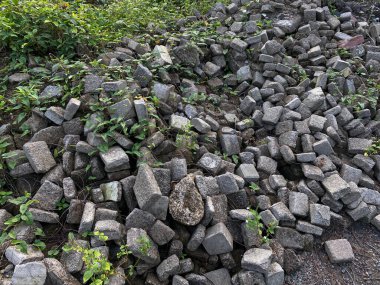 Kaldırım, zemin ya da beton blok kaldırım, küp şeklinde yeşil sarmaşık yığını.