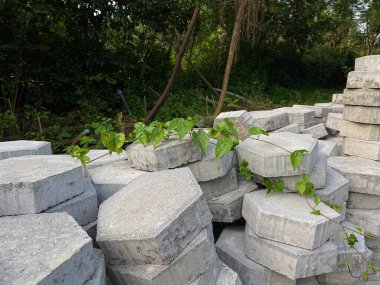 Altıgen kaldırım yığını, zemin ya da beton blok kaldırım, yeşil ağaçların kenarına yan manzara
