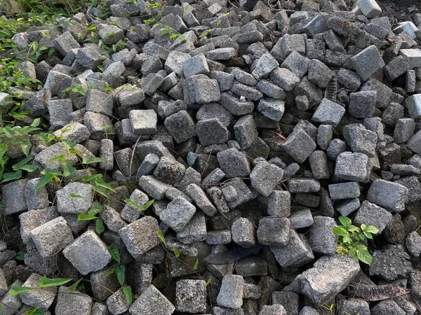 Kaldırım, zemin ya da beton blok kaldırım, küp şeklinde yeşil sarmaşık yığını.