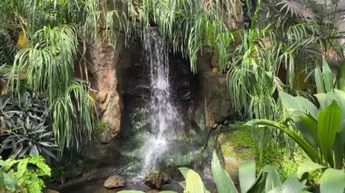 Yeşil bitkilerle çevrili kapalı bir parktaki bahçe şelalesinden su sıçradı.