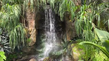 Yeşil bitkilerle çevrili kapalı bir parktaki bahçe şelalesinden su sıçradı.