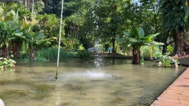 Havuzun ortasındaki tek bir hortumdan basit bir çeşme.