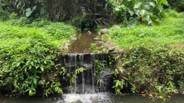 Küçük su kanalından daha geniş nehre giden şelale. Etrafını çevreleyen yağmur ormanları