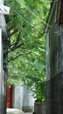 Eski Çin köyü manzarası. İçinde eski mimari yapılar var. 