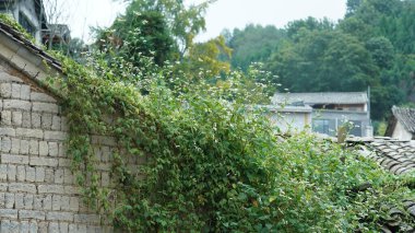 Eski Çin köyü manzarası. İçinde eski mimari yapılar var. 