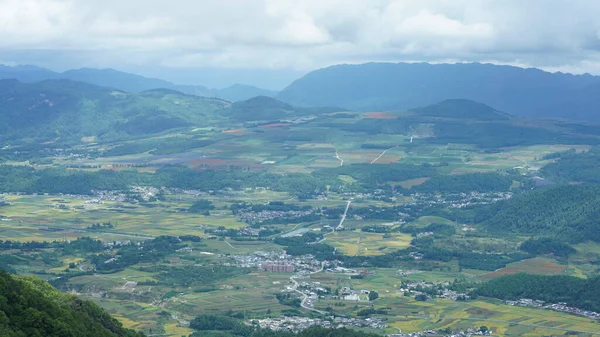 Het Oogsten Gele Rijst Veld Uitzicht Gelegen Vallei Tussen Bergen — Stockfoto