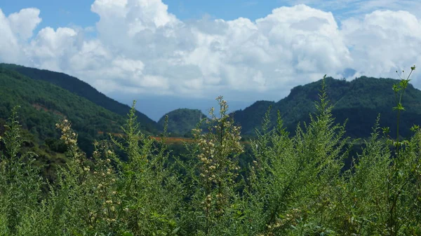 夏は白い雲と青空が広がる美しい山の景色 — ストック写真