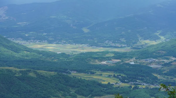 采收的黄稻田景观位于山谷中的群山之中 背景是多云的天空 — 图库照片
