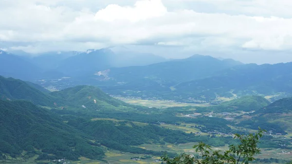 Die Ernte Gelben Reisfeld Blick Befindet Sich Tal Zwischen Den — Stockfoto