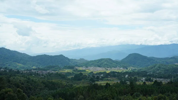 Die Ernte Gelben Reisfeld Blick Befindet Sich Tal Zwischen Den — Stockfoto