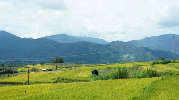 曇りの空を背景に山の間の谷に位置する収穫黄色の田んぼの景色 — ストック写真