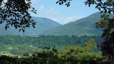 Arkaplanı bulutlu gökyüzü olan dağların arasındaki vadide bulunan sarı pirinç tarlası manzarası.