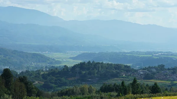 stock image The harvesting yellow rice field view located in the valley among the mountains with the cloudy sky as background