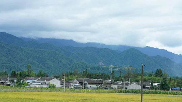 Συγκομιδή Κίτρινο Ρύζι Θέα Τομέα Που Βρίσκεται Στην Κοιλάδα Μεταξύ — Φωτογραφία Αρχείου
