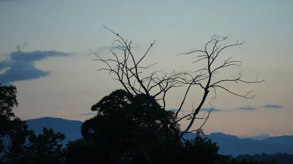 stock image The bluetime view in the countryside after sundown