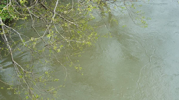 Biegnąca Rzeka Widok Drzewami Nim Wsi — Zdjęcie stockowe