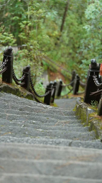 Çin Kırsalındaki Dağlara Tırmanmak Için Kullanılan Dik Merdivenler — Stok fotoğraf