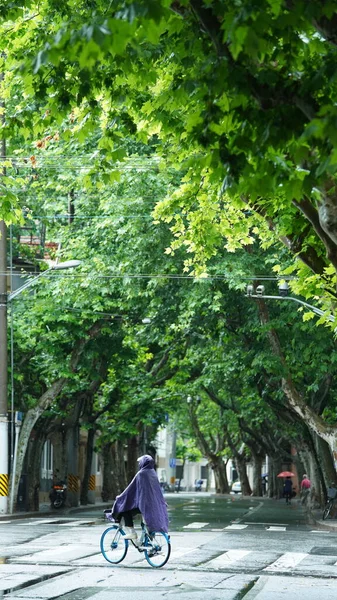 Yazın Şangay Iki Yakasındaki Yeşil Ağaçlı Yol Manzarası — Stok fotoğraf