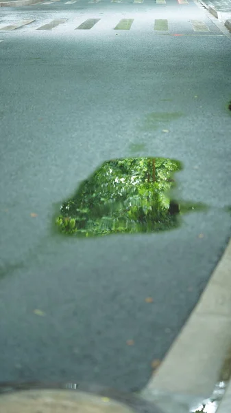 雨の後 街の道路上の小さな水プール — ストック写真