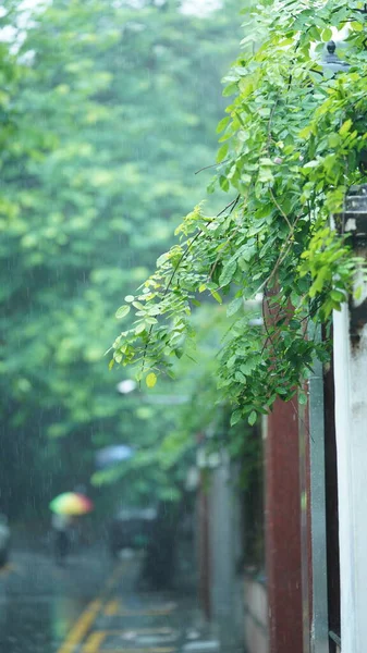 นฝนตกในเม องท ถนนเป ยกและหยดน าฝนลง — ภาพถ่ายสต็อก