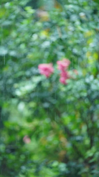 Den Regniga Dagsutsikten Staden Med Den Våta Vägen Och Regniga — Stockfoto