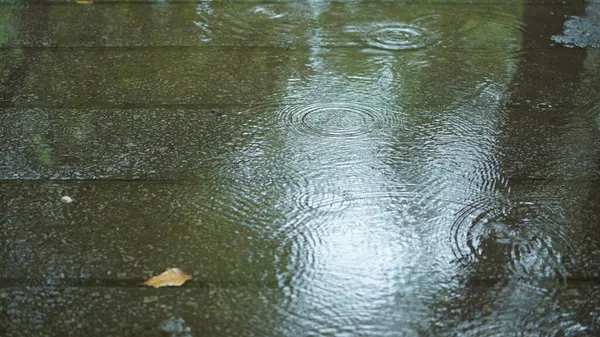 ぬれた道と雨の滴がダウンして街の雨の日の景色 — ストック写真