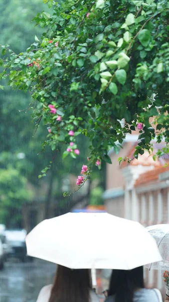 Les Gens Marchant Avec Parapluie Dans Journée Pluvieuse — Photo