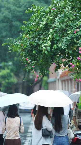 Yağmurlu Günde Şemsiyeyle Yürüyen Insanlar — Stok fotoğraf
