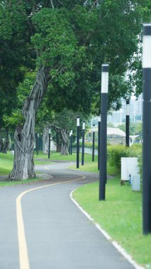 Yeşillik ağaçlarıyla ve yazın içinde yol olan güzel park manzarası.
