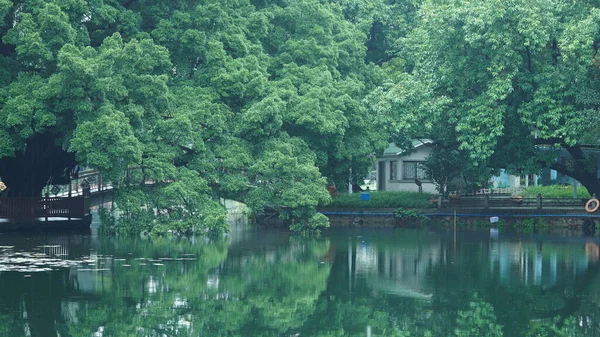 Bela Vista Parque Com Árvores Verdes Lago Tranquilo Verão — Fotografia de Stock